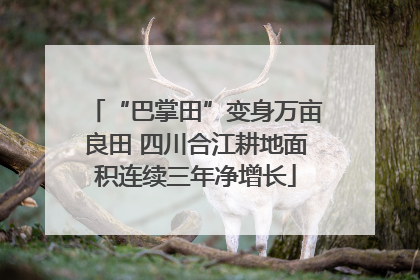 “巴掌田”变身万亩良田 四川合江耕地面积连续三年净增长